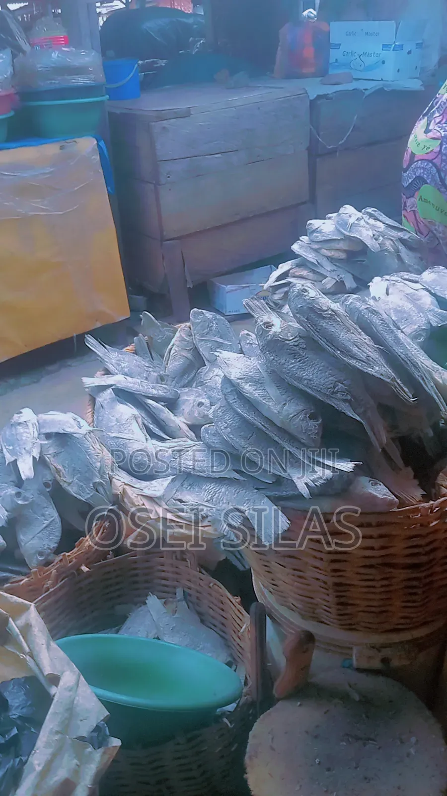 We'll Dried Large Tilapia for Royal Treatment