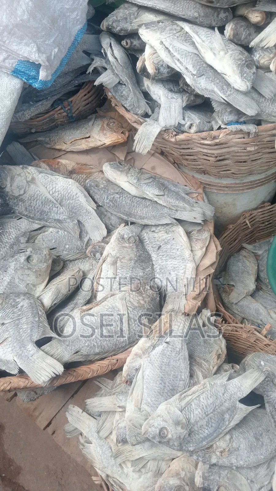 We'll Dried Large Tilapia for Royal Treatment