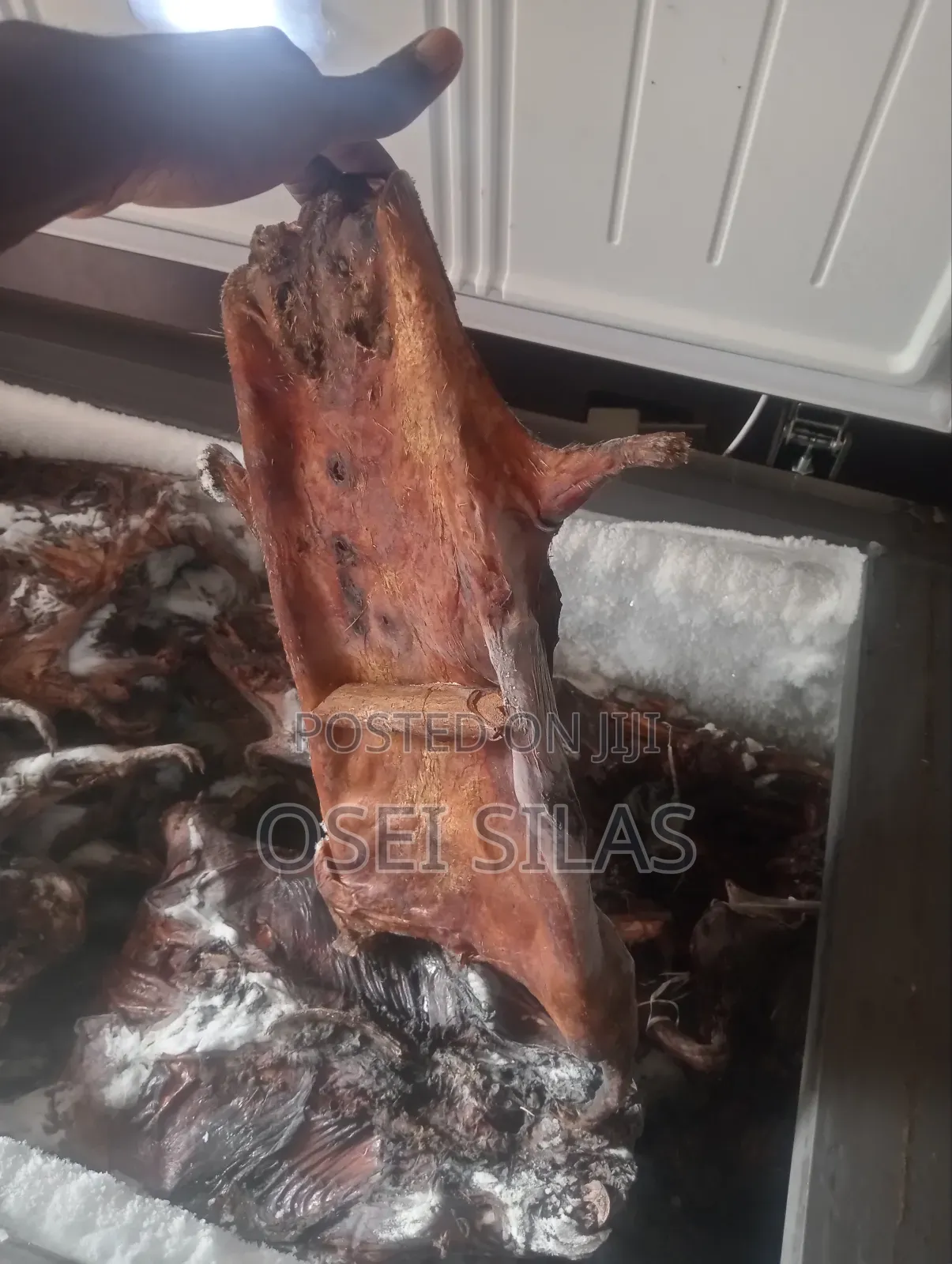Fresh Bushmeats