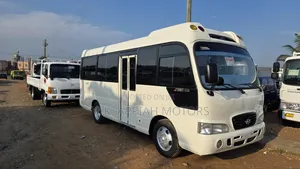 Hyundai County 2015 White