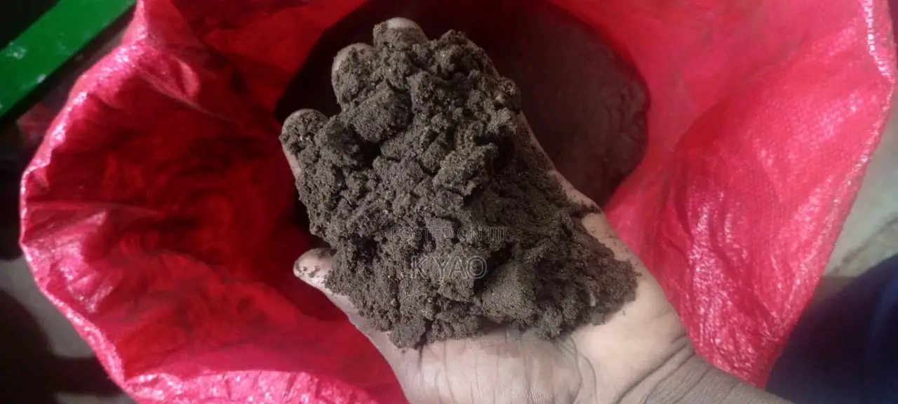 Raw/ Roasted/ Grounded Coffee Beans and Powder.