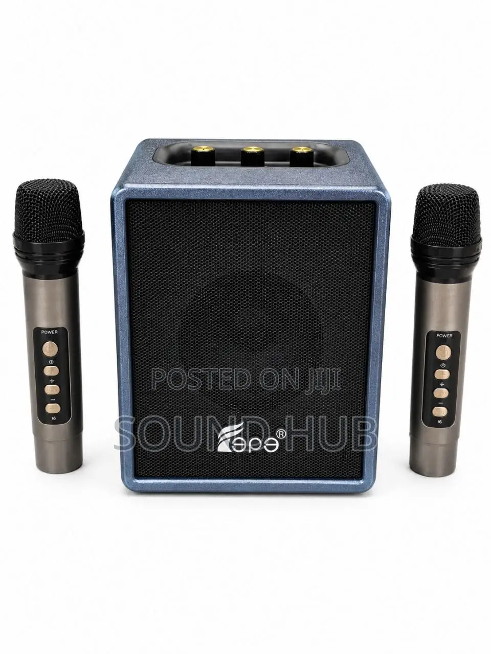 Portable Wireless Speaker With Two Mics
