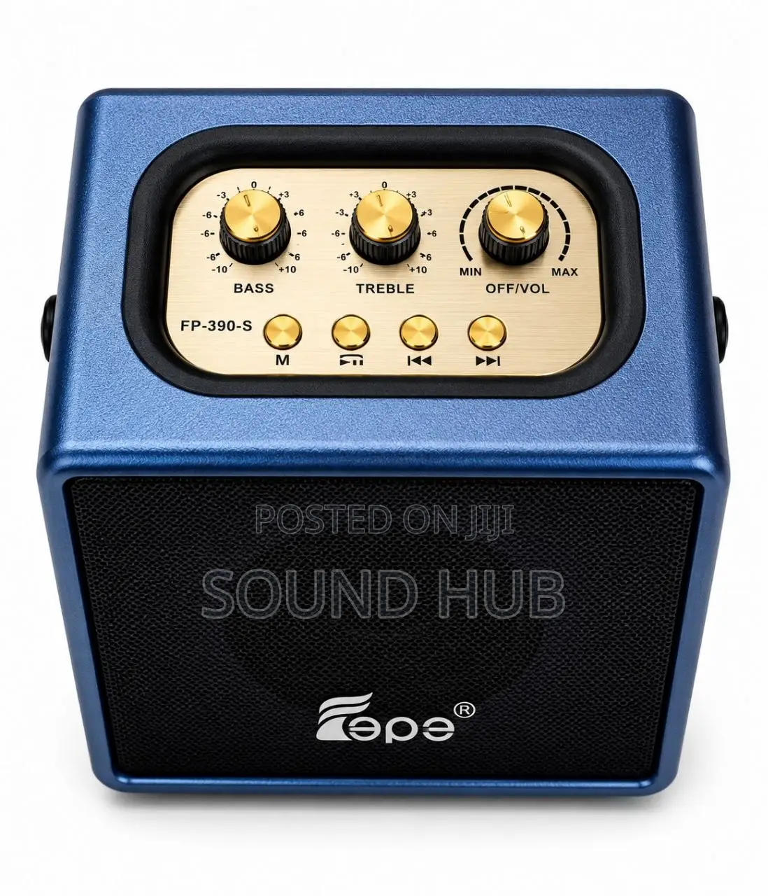 Portable Wireless Speaker With Two Mics