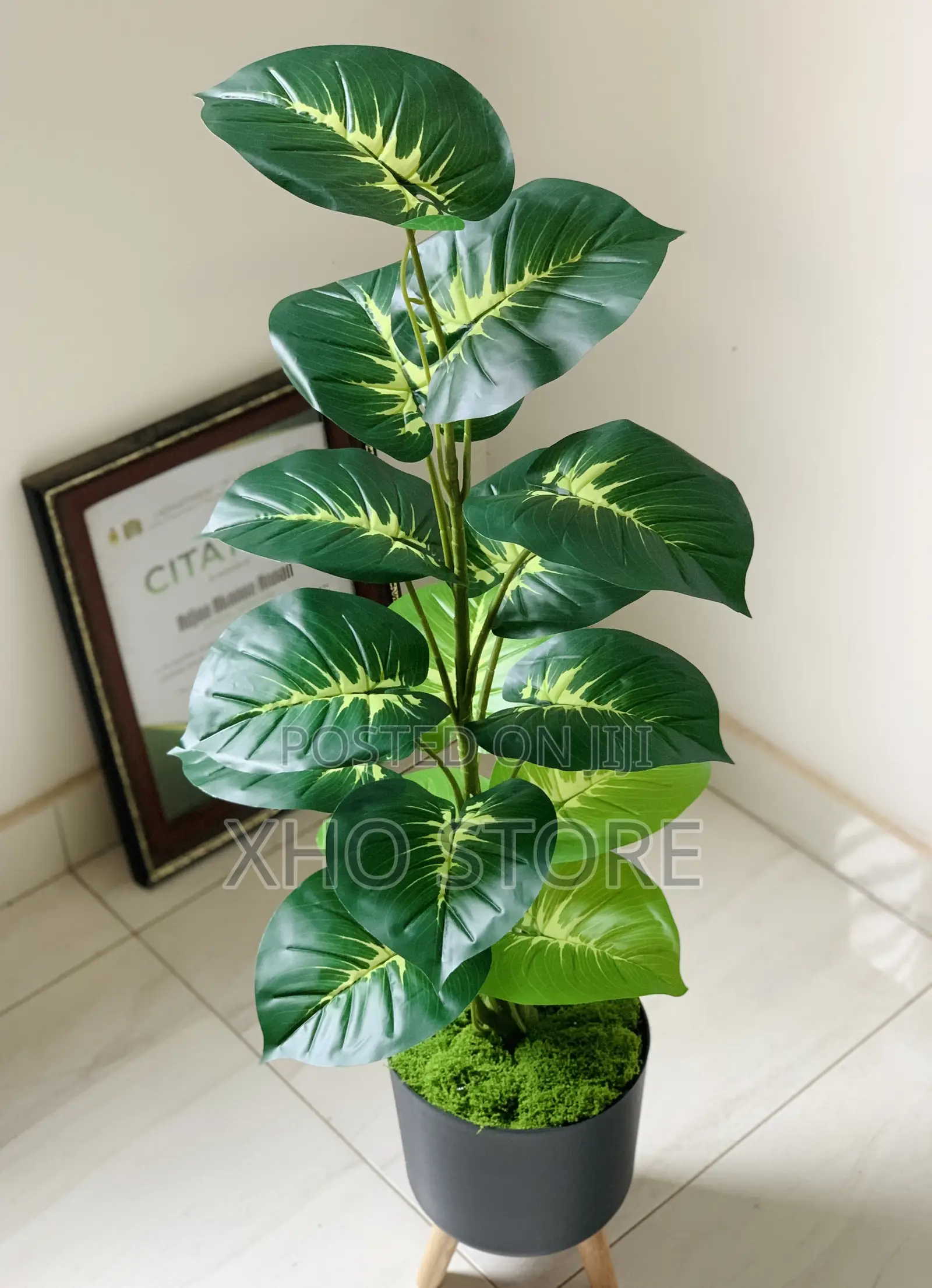 Flower Pot, Flowers And Potted Plant Curated For Modern Living Spaces