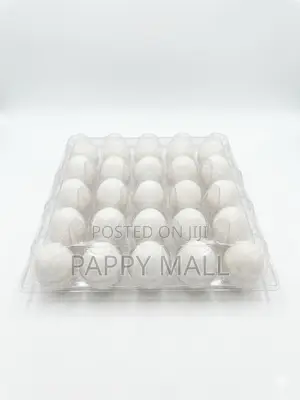 Premium Farm Fresh White Chicken Eggs (Pack of 20)