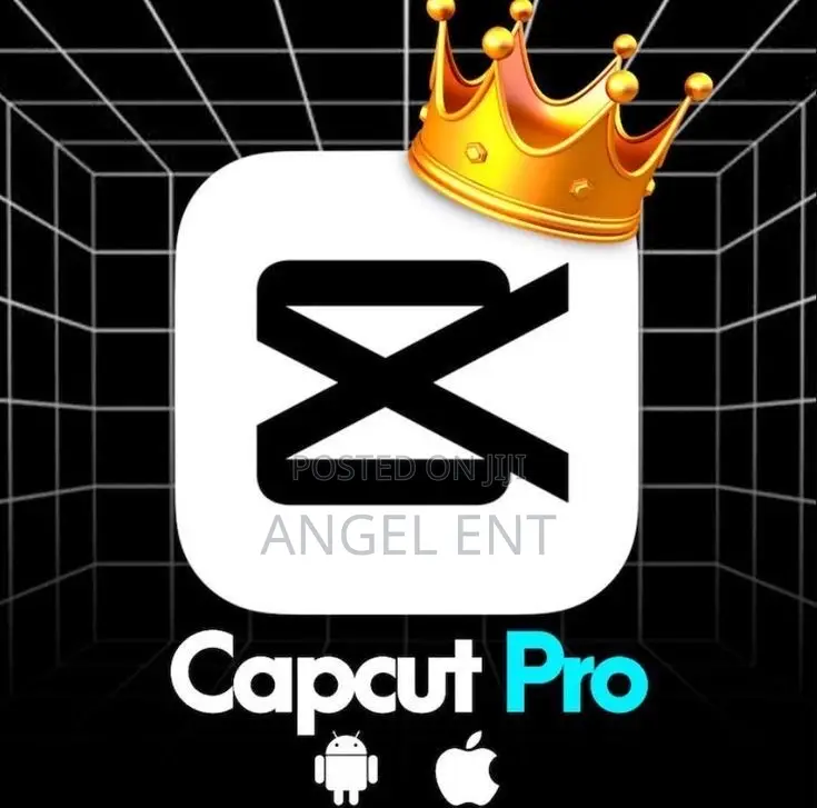 Capcut Standard Pro Available