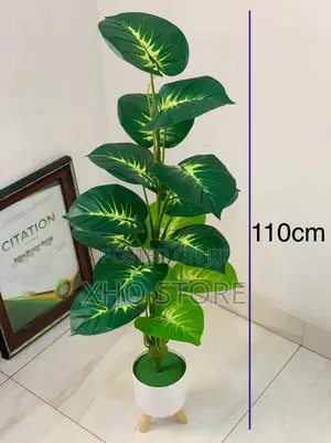 Flower Pot, Flowers And Potted Plant Curated For Modern Living Spaces