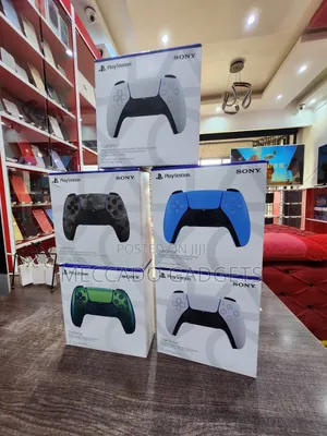 Ps5 Controller