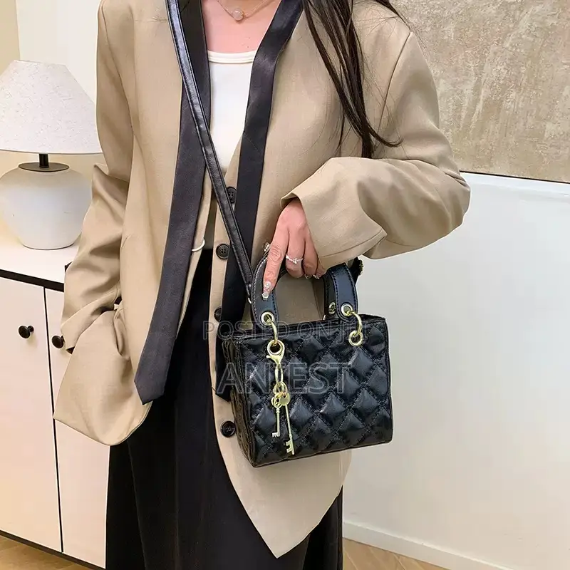 Elegant Simple Ladies Bag