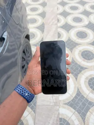 Apple iPhone 17 Pro Max 256 GB Gray