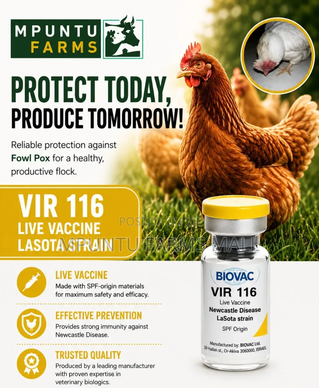 Lasota Vaccine