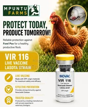 Lasota Vaccine