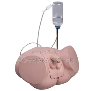 Model Catheterization Manikins Male