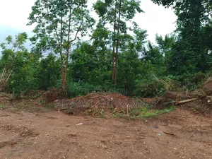 Full Plot at Ejisu Kwaso 100*80