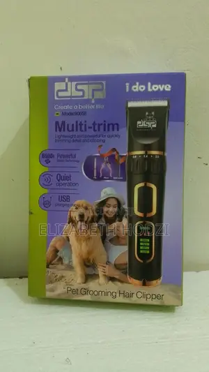 6-12 months Female Mixed Breed Dog