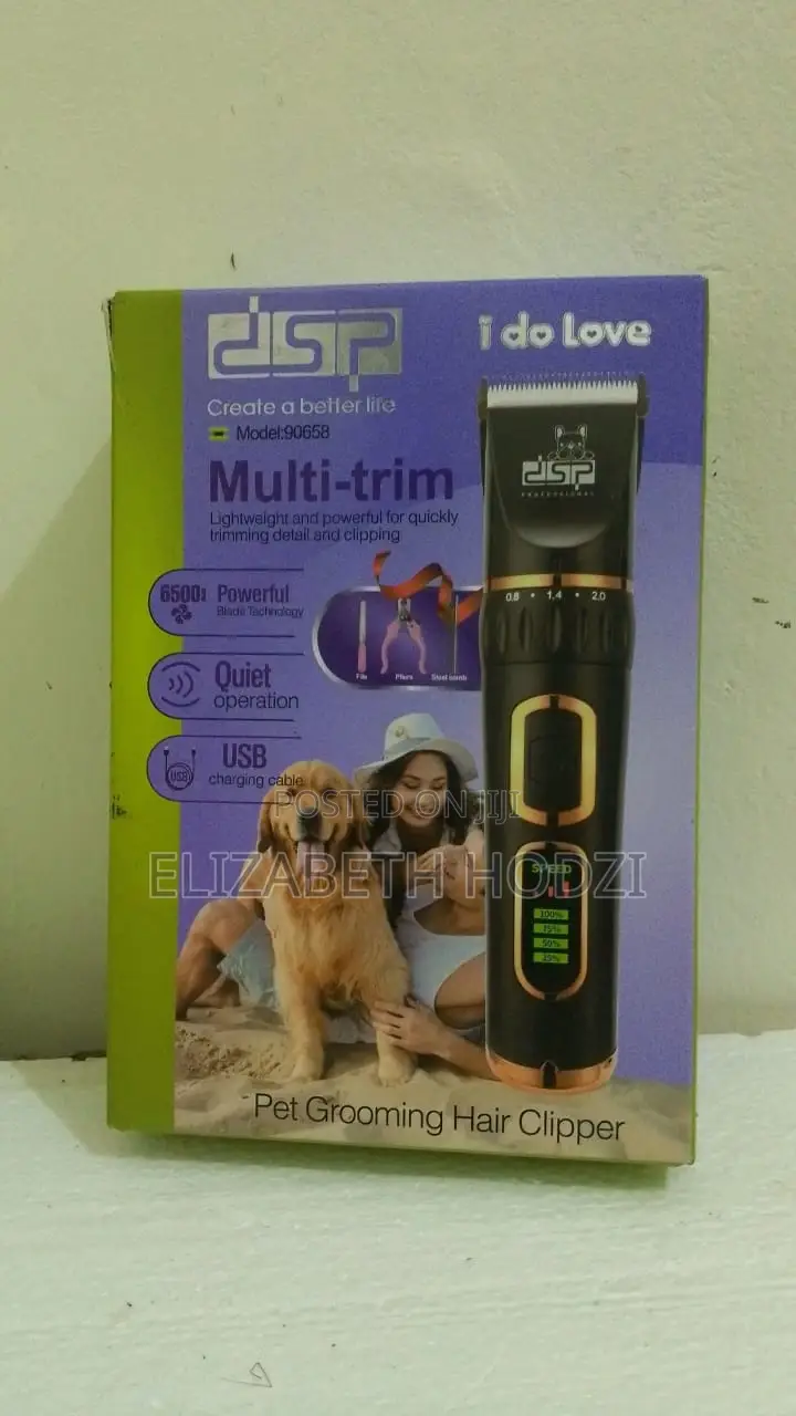 6-12 months Female Mixed Breed Dog