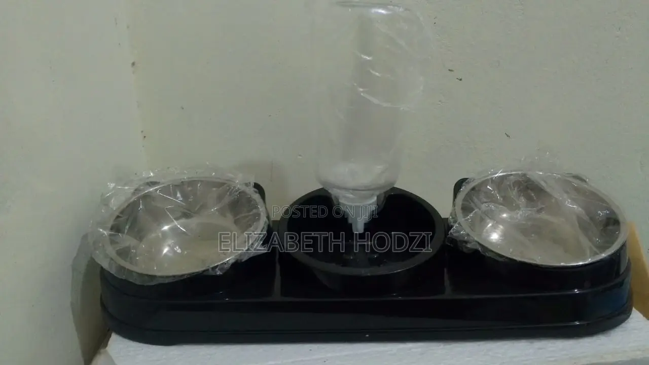 2 in 1 Pet Feeder With Water Dispenser