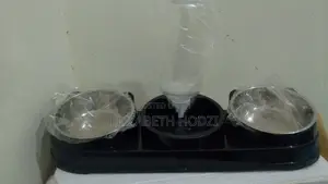 2 in 1 Pet Feeder With Water Dispenser