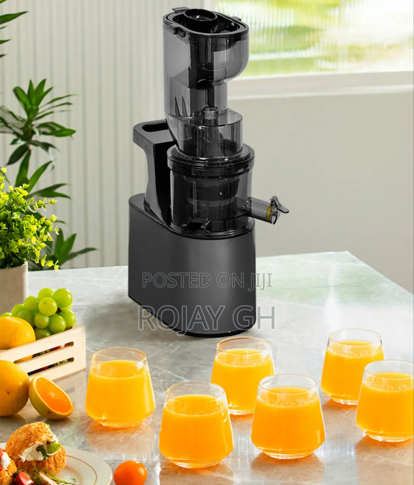 High Performance Gold Press Slow Juicer - Silver