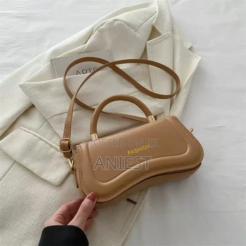 Elegant Ladies Hand Bag
