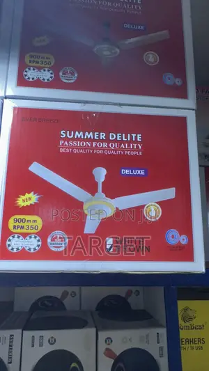 Ceiling Fans