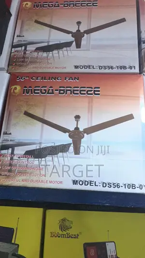 Ceiling Fans
