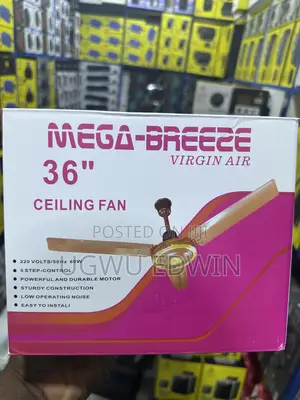 Ceiling Fans