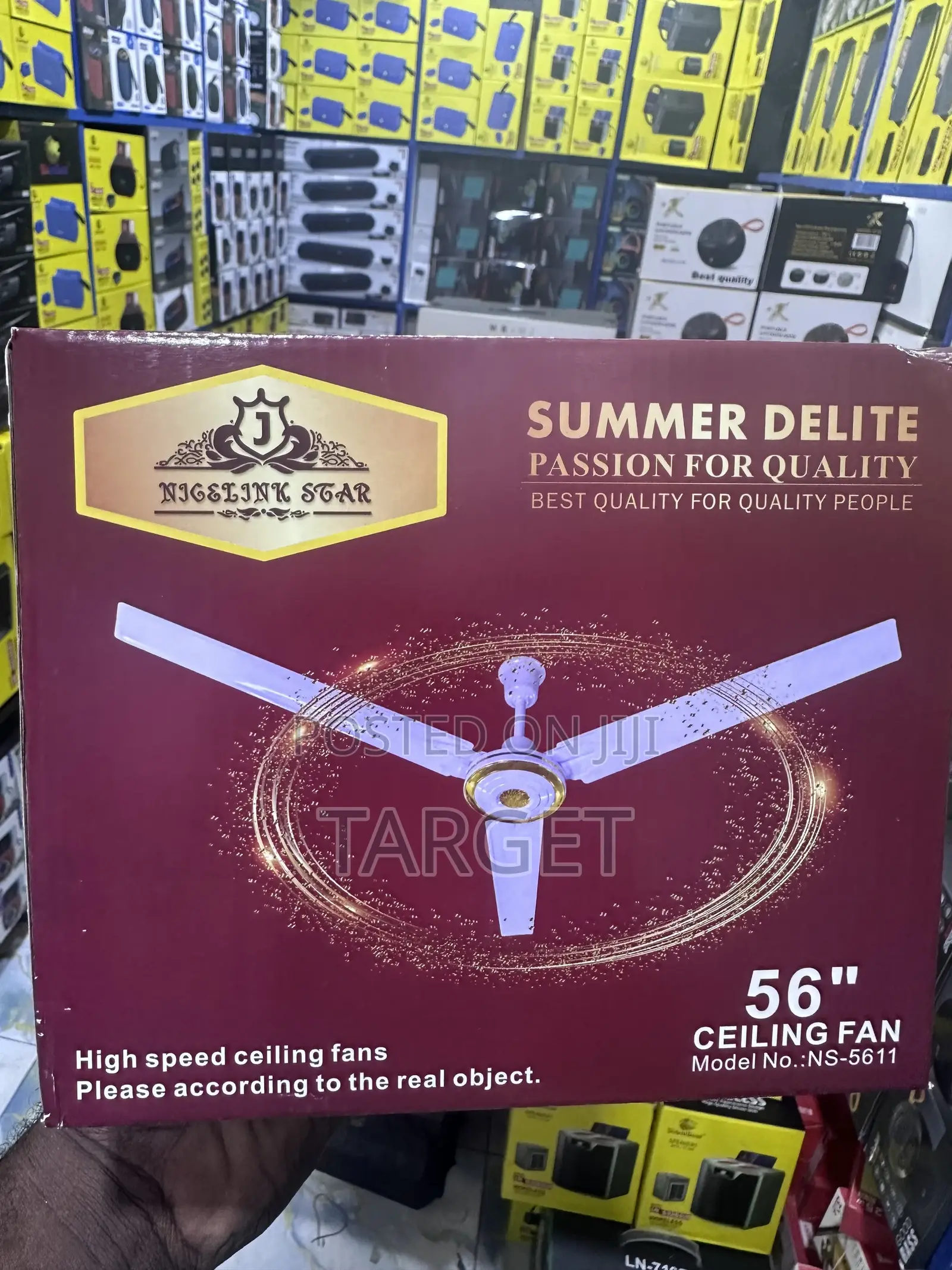 Ceiling Fans