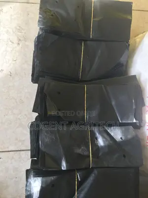 Tree Seedlings Nursery Bags