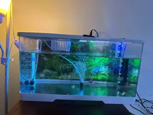 Aquarium Tank
