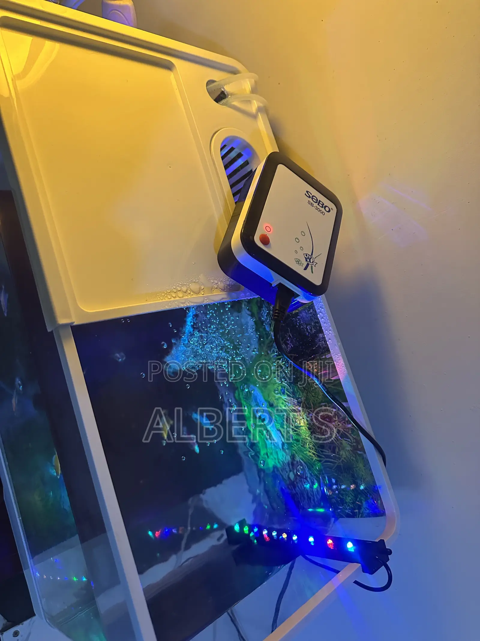 Aquarium Tank