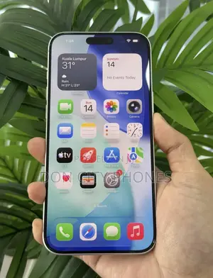 Apple iPhone 17 Pro Max 256 GB Silver