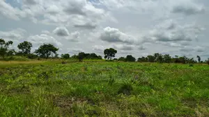 Volta Region, Akatsi Dist (Ave-dakpa) _ 5000+ Acres Farmland