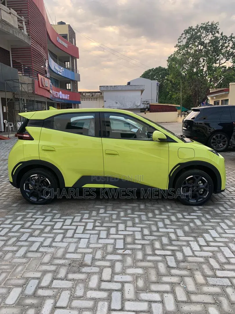 New BYD Seagull 2025 Purple