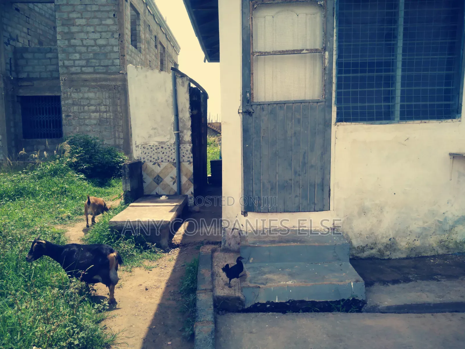1bdrm Apartment in 180Gh 2Yrs Only, Appolonia City for rent