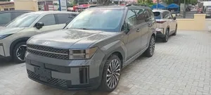 New Hyundai Santa Fe 2024 Gray