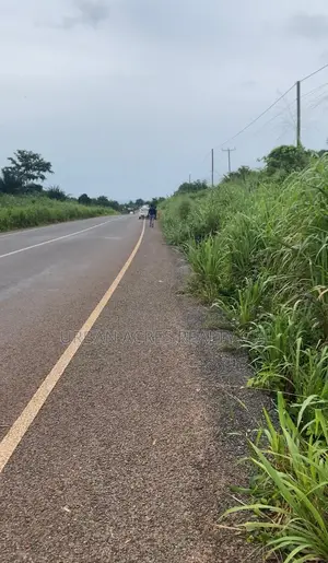 Eastern Regn, Adukrom (Somanya Road) _ 2 Acres Commercial Land