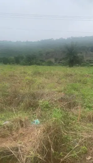 Eastern Regn, Adukrom (Somanya Road) _ 2 Acres Commercial Land