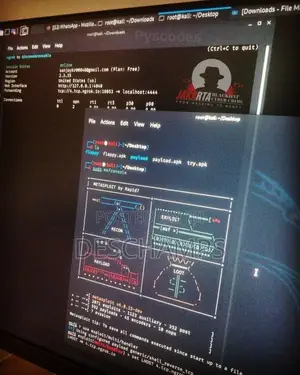 Kali Linux Installation
