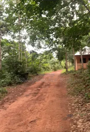 Eastern Region, Adukrom (Safari Valley) _ 6 Plots Building Land