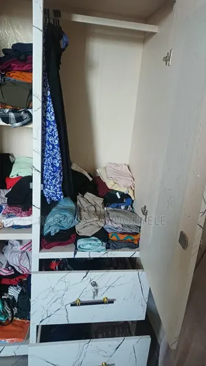 2-in-1 Wardrobe