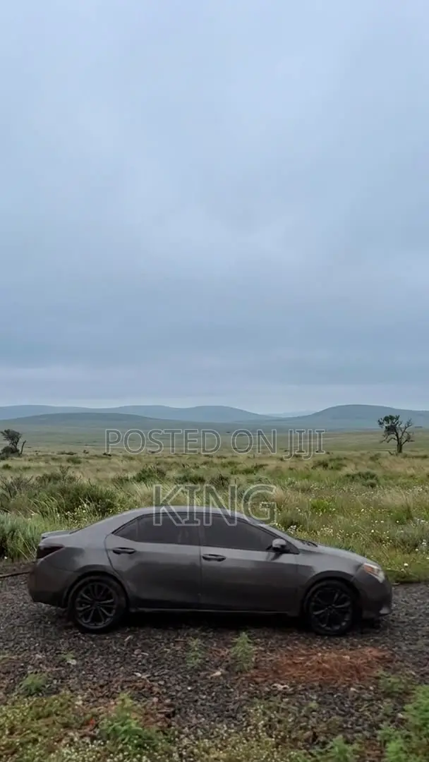 Toyota Corolla S 4dr Sedan (1.8L 4cyl CVT) 2014 Gray