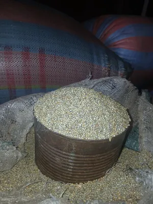 Cereals and Grain
