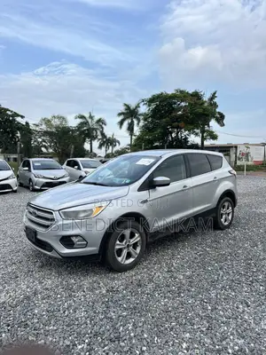 Ford Escape SE 4x4 2017 Gray