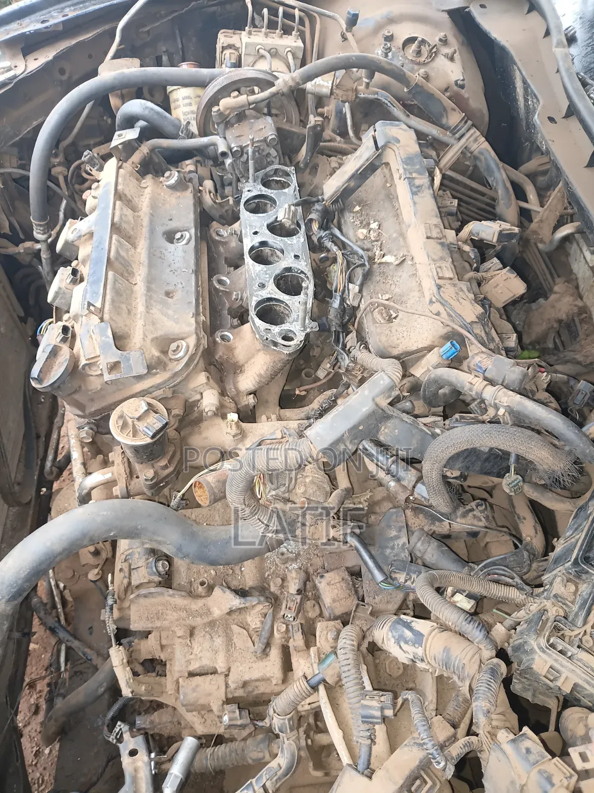 Automotive Engineer