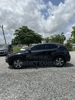 Lexus NX 300 AWD 2019 Black