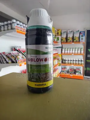 Blowout 1l. Non-selective Herbicide