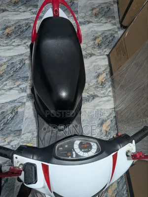 Suzuki 2023 White