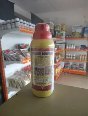 Kum Nwura 1l