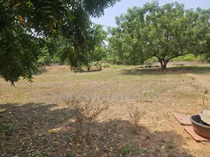 50 Acres of Title Land for Sale at Afienya